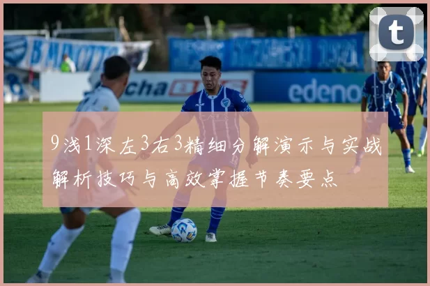9浅1深左3右3精细分解演示与实战解析技巧与高效掌握节奏要点