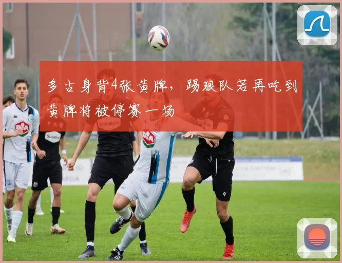 多古身背4张黄牌，踢狼队若再吃到黄牌将被停赛一场