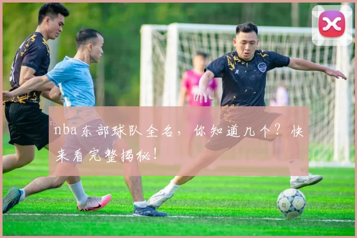 nba东部球队全名，你知道几个？快来看完整揭秘！