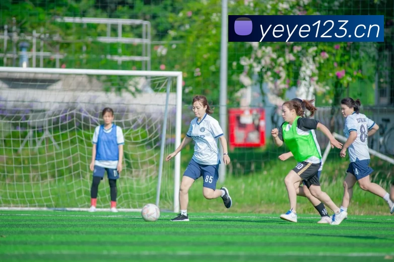 开云手机端·官方版入口 - 开云online(中国)平台生态图